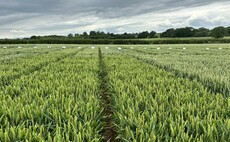 Cereals 25: Is it time for an RL update?