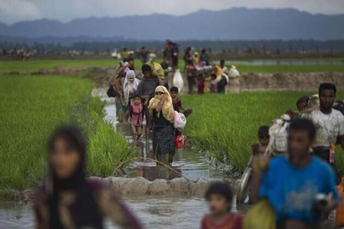 Myanmar: Critical Hearings in Rohingya Genocide Case