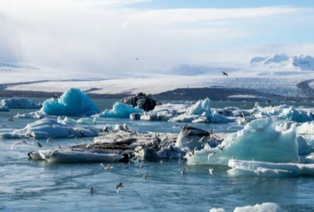 Scientists find link between fast-melting Arctic ice and ocean acidification