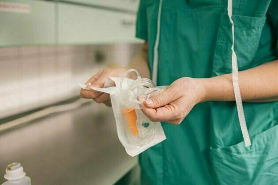 We found a germ that 'feeds' on hospital plastic - new study