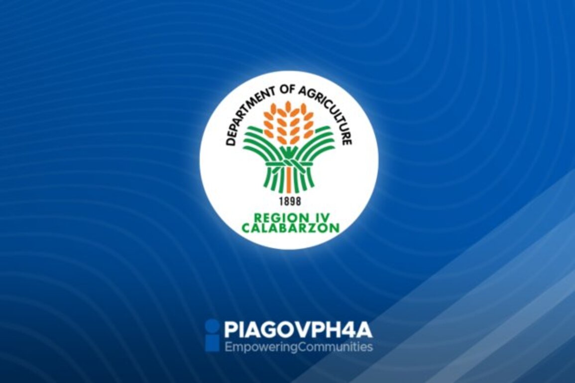 DA CALABARZON to expand rice production with added P108M budget