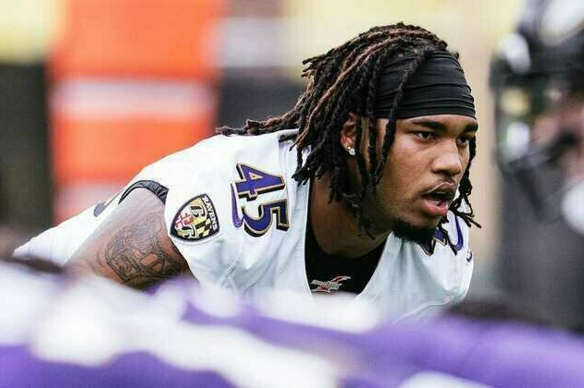How Every Ravens Draft Pick Could Make an Early Impact