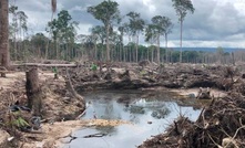 Área de garimpo desativado pelo Exército na região do Surucucu, em Roraima/Divulgação