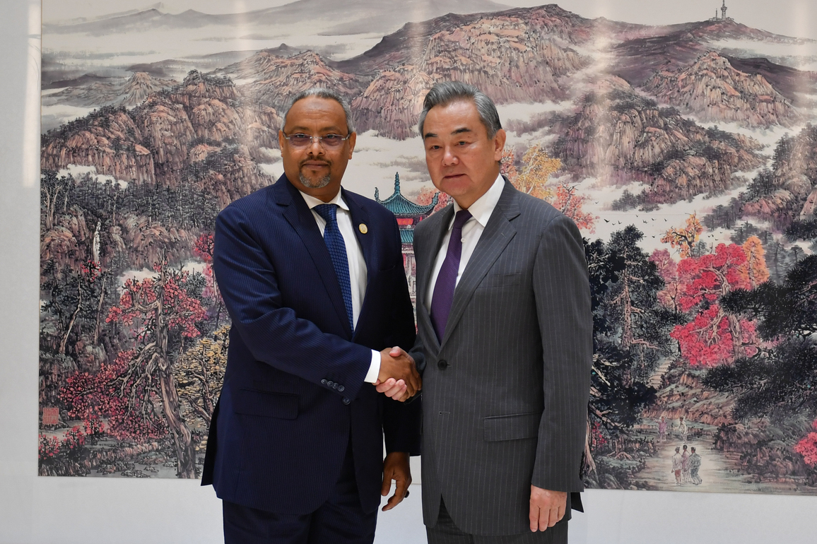 CHINA-HUNAN-CHANGSHA-WANG YI-DJIBOUTI-FM-MEETING (CN)