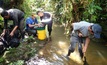 Sampling on Aurania Resources' Los Cities gold project in Ecuador