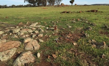 A typical dyke in southwestern Yilgarn craton. Photo: Yebo Liu