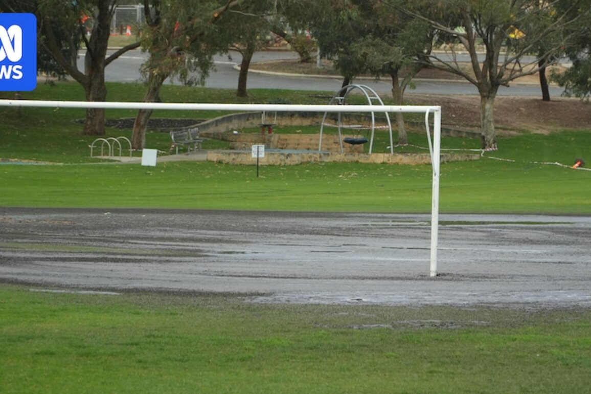 Sewage spills in Perth's south leave Bruce Lee Reserve in Beaconsfield covered in wastewater