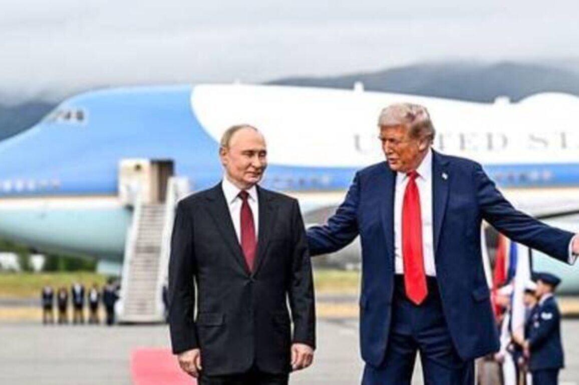Putin and Trump could meet in November - Kremlin
