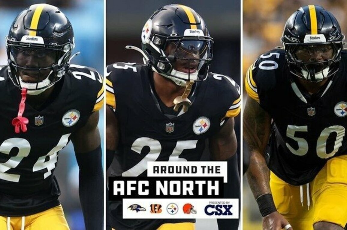 Around the AFC North: Trio of Steelers Defenders Injured in Opener