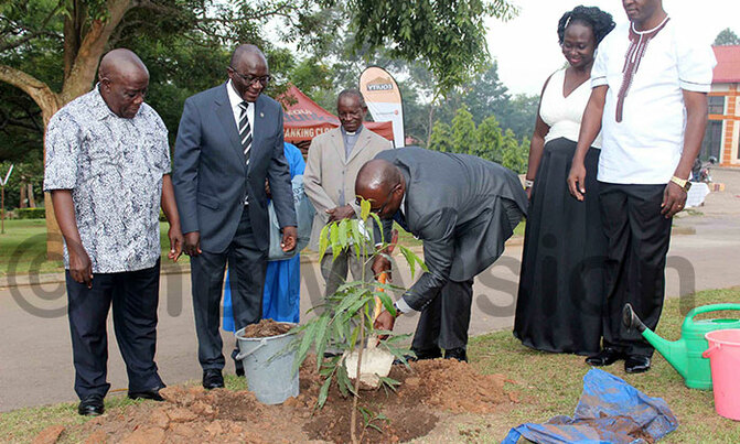 Children urged to plant trees Children urged to plant trees