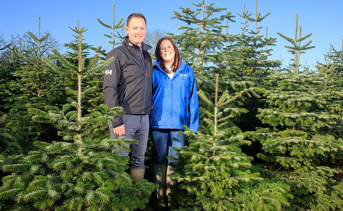 Couple find success in Christmas trees