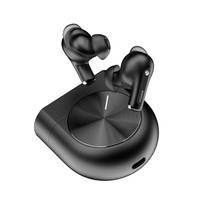 Noise Master Buds 2 Review: Real Bose Magic on a Budget?
