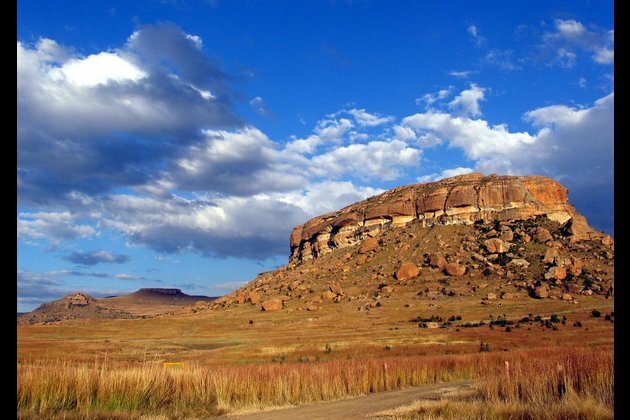 S. African national parks to open for overnight accommodation