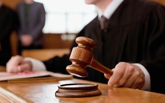 Egg producer's success in business rate appeal provides clarity on exemption