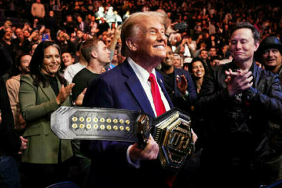 UFC may return to Russia - Putin envoy