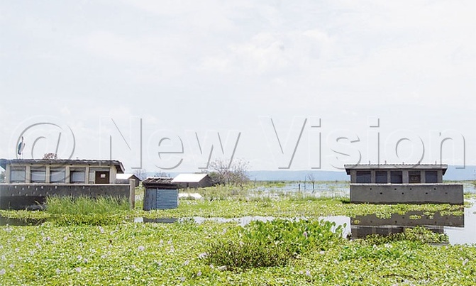 Floods submerge Ntoroko schools ahead of opening Floods submerge Ntoroko schools ahead of opening