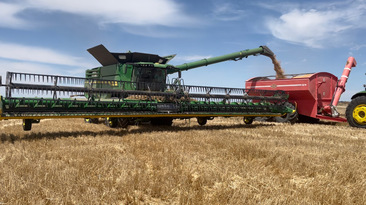 ABARES has forecast a winter crop in excess of 66 million tonnes. 