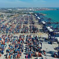 Xinhua Commentary: In a fragmenting world, China bets on openness