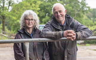 How organic premiums make a low-input system stack up on Devon farm