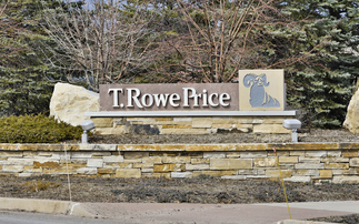 Only one T. Rowe Price fund failed to deliver value to investors in 2024