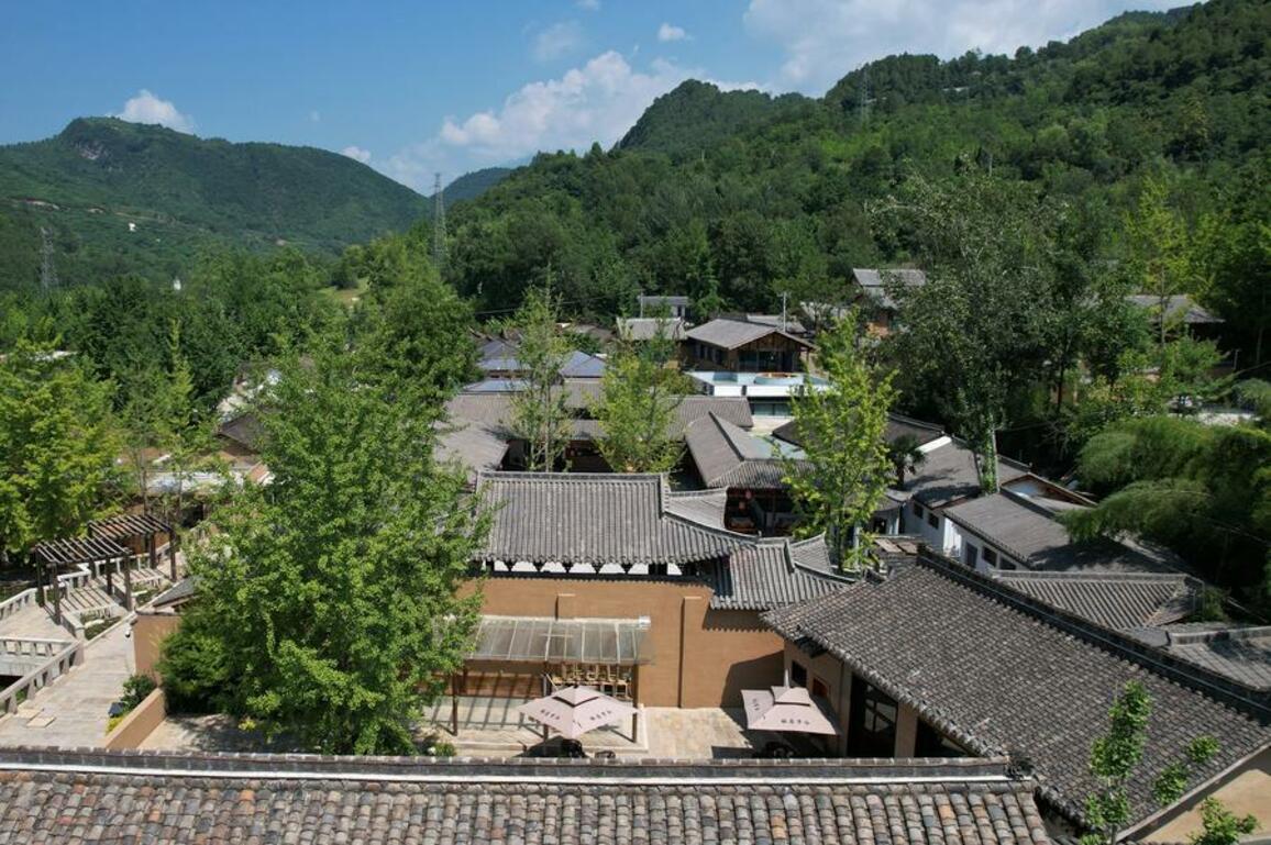 Culture | Riverside village in NW China's Gansu revives with ginkgo tree-inspired tourism
