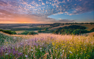 'Ignoring nature is no longer an option': New guidance aims to help place nature on board agendas