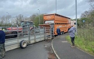 Vets hailed heroes after saving cattle in Shropshire lorry crash