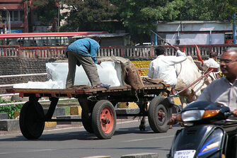 Heat wave grips northern India as temperatures soar past 47°C