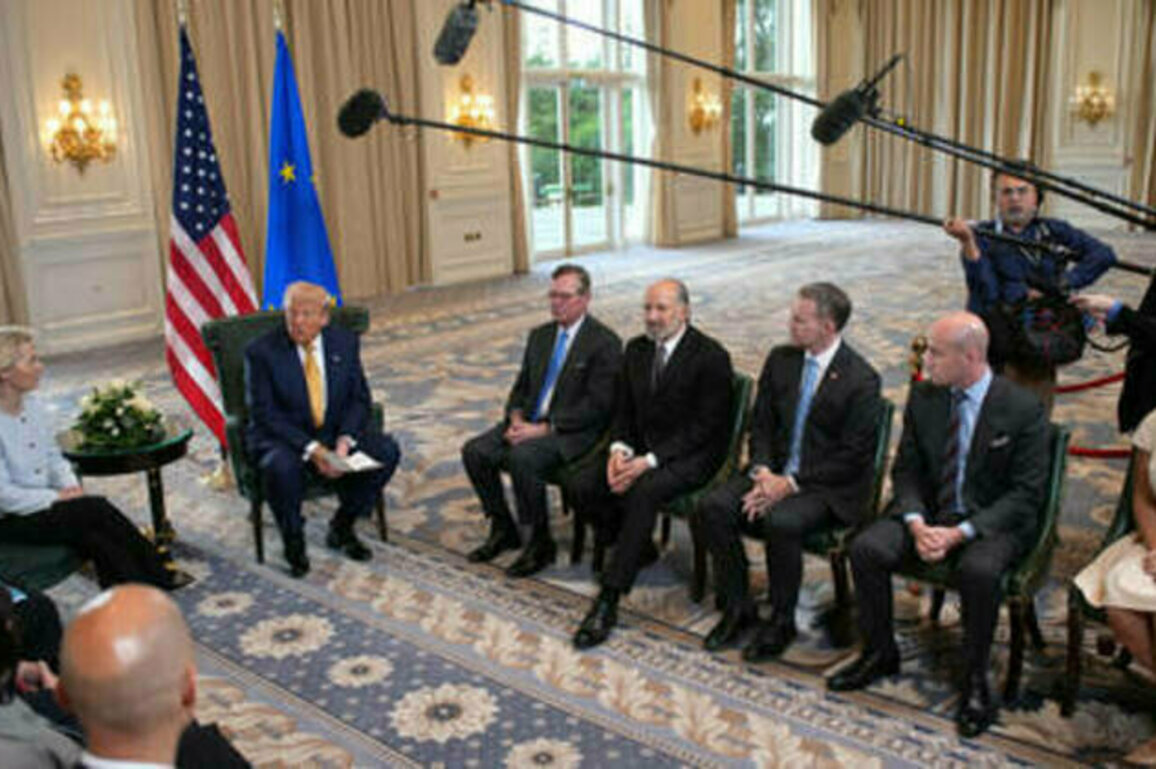EU 'bent at the knee' of Trump - White House official