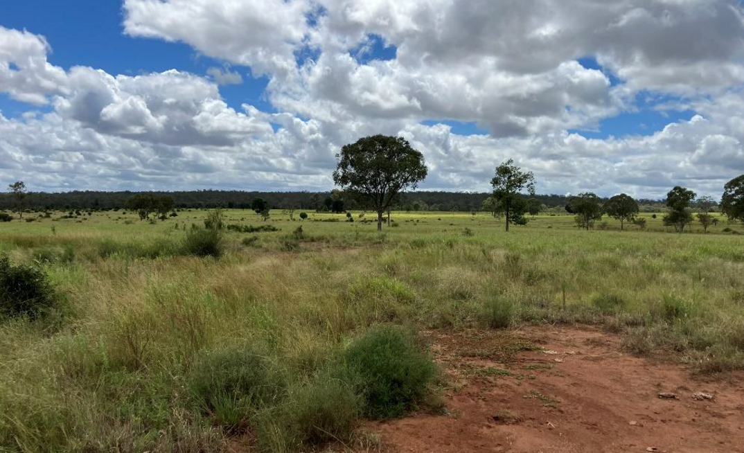The Nerangy prospect sits in cattle country