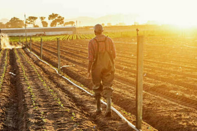 Are white farmers really persecuted? What's behind the US-South Africa spat
