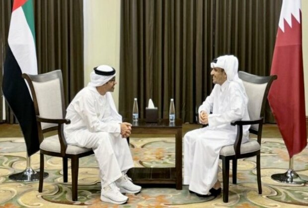 Abdullah bin Zayed meets with Qatari PM in Amman