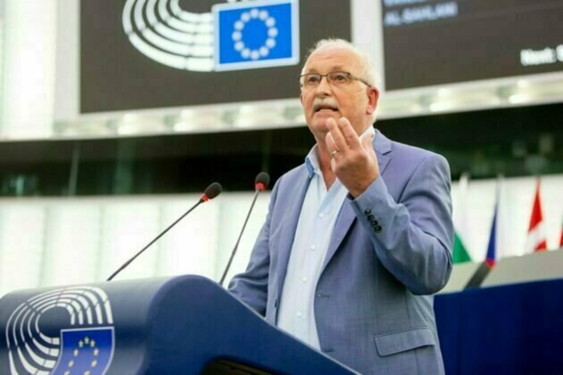 Udo Bullmann: The African continent is increasingly asserting itself by seeking diversified alliances, including ties with BRICS