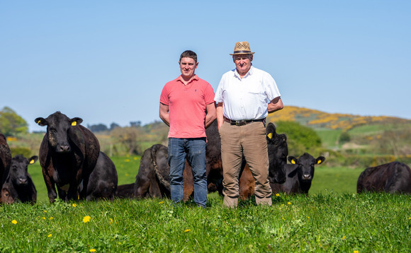 The Northern Irish family achieving premium returns on a low-input, grass-based beef system