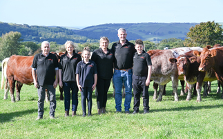 Three generations drive pedigree Beef Shorthorn success in Ceredigion   