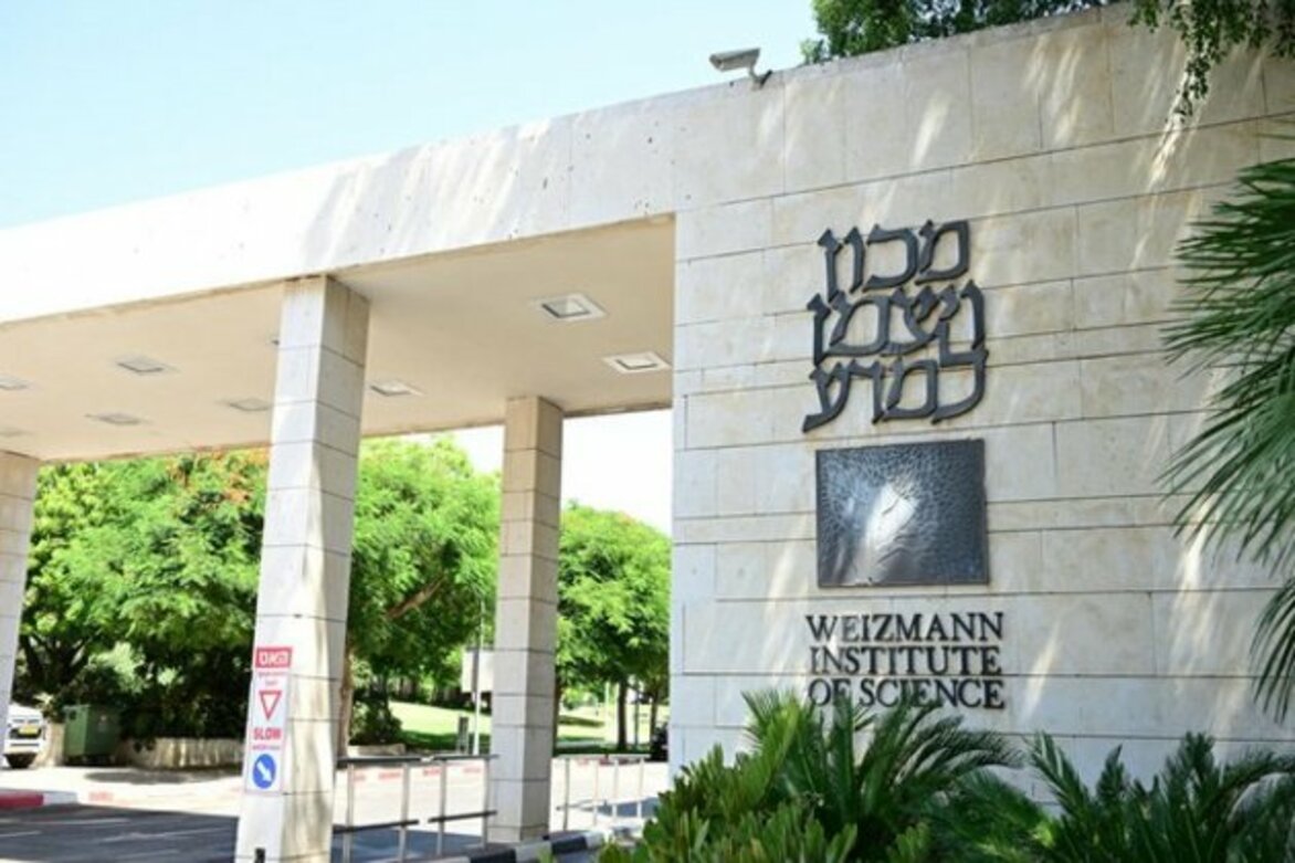 Israeli research opens door to reversing effects of early childhood trauma on brain
