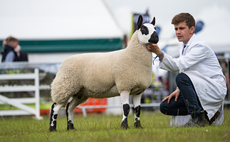 GREAT YORKSHIRE SHOW: Kerry Hill ewe claims supreme sheep title