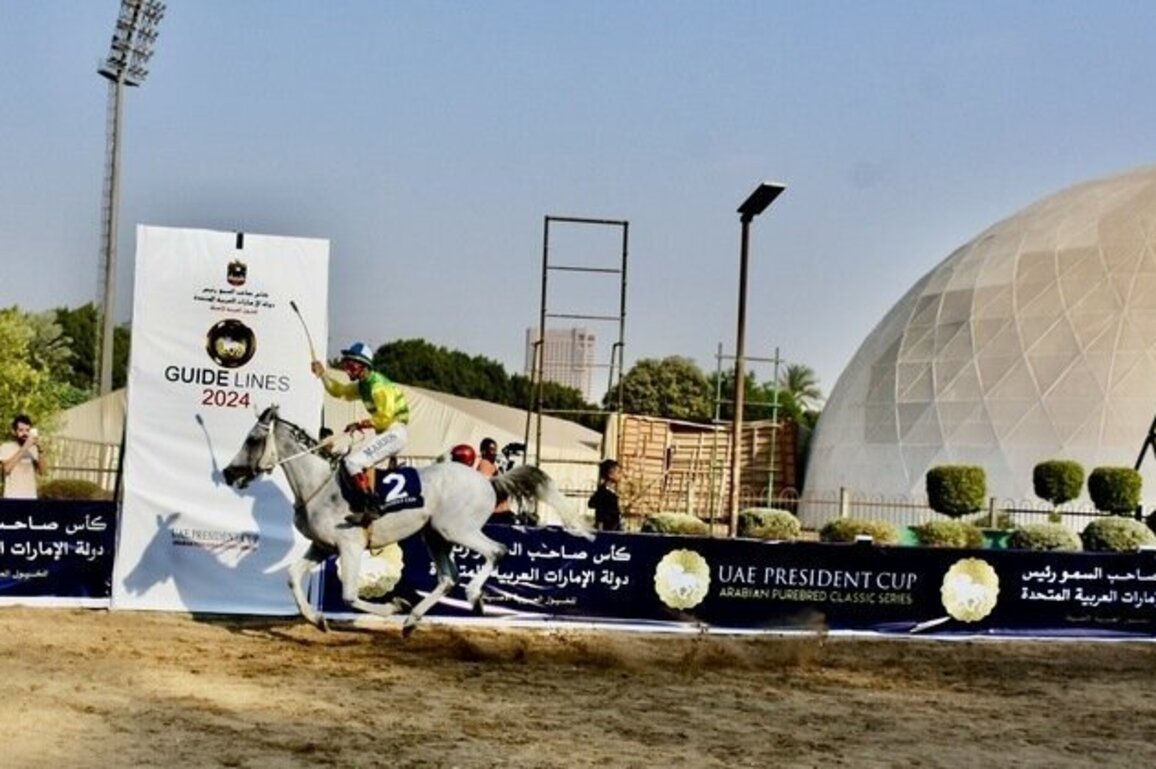 Egypt hosts 15th round of UAE President's Cup Series for Purebred Arabian Horses