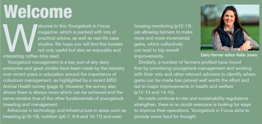 YoungStock Toolkit