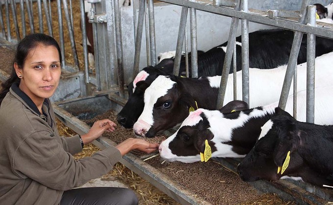 Breeding and calves: Keeping the heat off calves