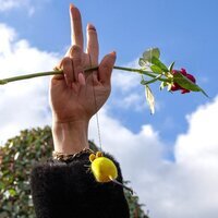 A test for world order in Iran