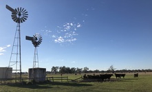 Australian farming sector holding up, despite drought