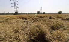 'From bad to worse': Report warns 'worst harvest on record' could cost UK farmers £550m