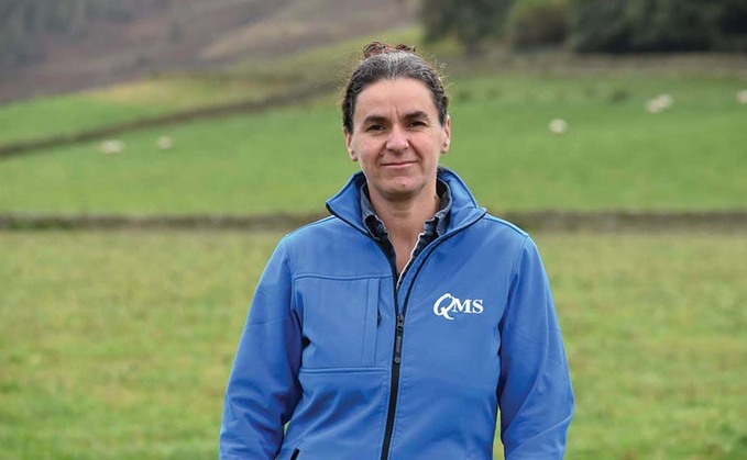 In your field: Kate Rowell - 'It cost us £1,200 to shear our sheep and the wool was just worth £218'