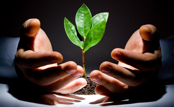 Asia's untapped VC market