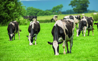 Partner Insight: Challenge the norm when it comes to mastitis therapy