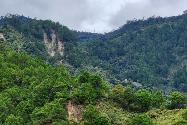 Celsius hails hot Philippines copper-gold operation