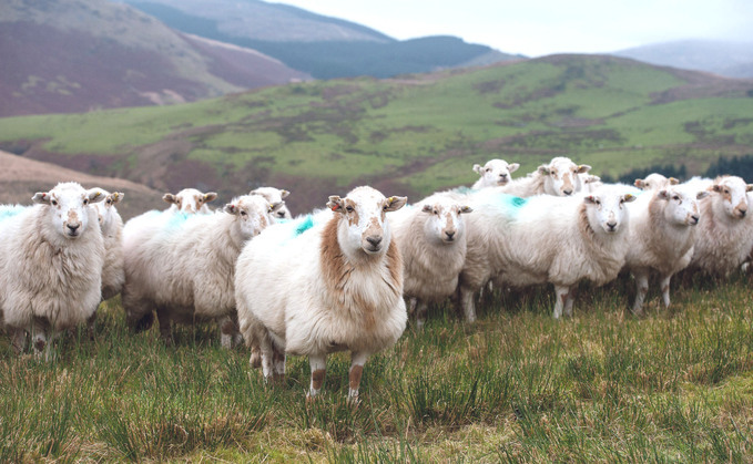 Livestock farmers from across Wales are taking part in a new data project to measure farming's environmental benefits