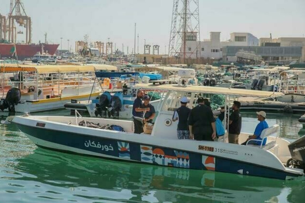 Sharjah Fish Resources Authority sponsors 'Khorfakkan Reef'