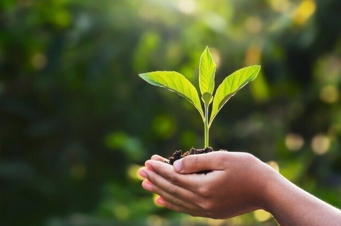 Earth Day celebrations planned across NC this weekend